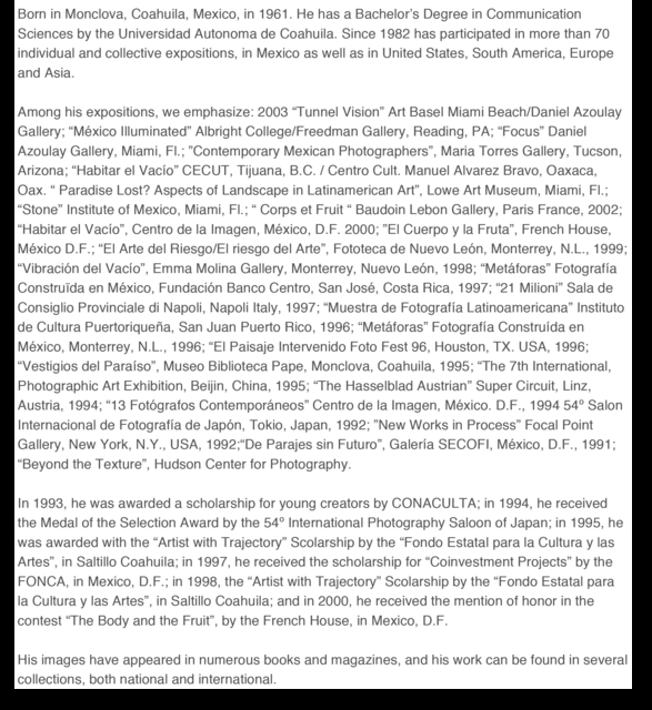 Alessandra Sanguinetti.png