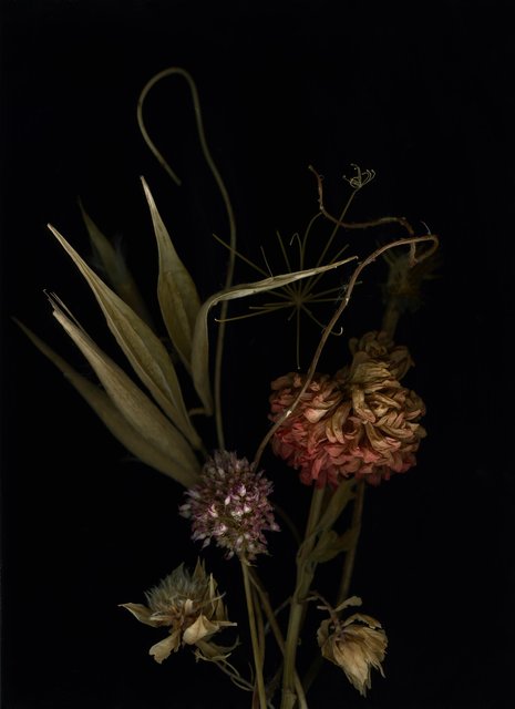 Shaelynn Tredenick - Eunoia, ed. 1 of 15