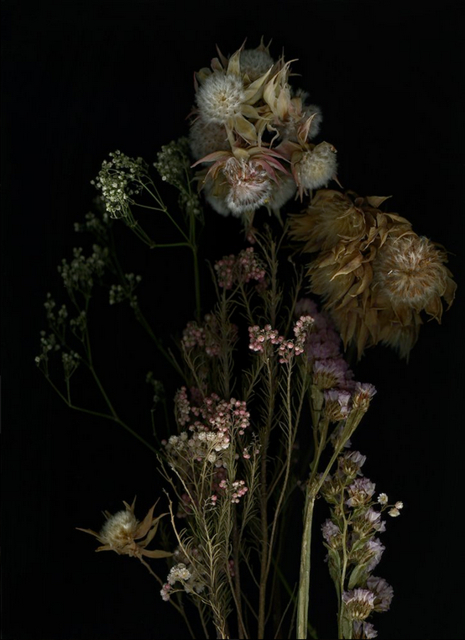 Shaelynn Tredenick -  Soarsa, ed. 2 of 15