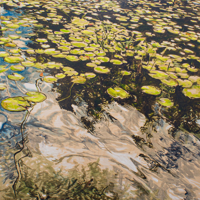 Bull Frog Chorus
