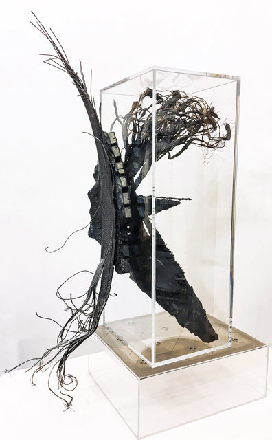 Exposed and Contained: risk and denial III