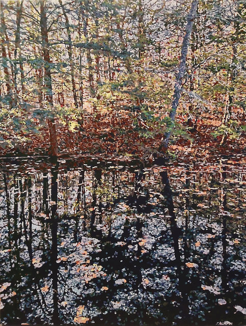 Terry Brynaert - Miroirs