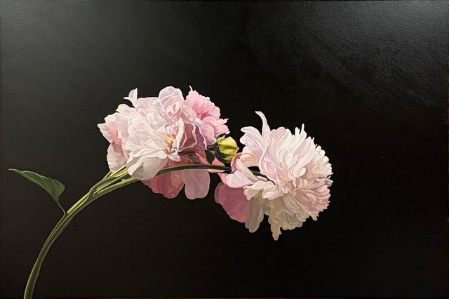 James Lahey - Three Peonies