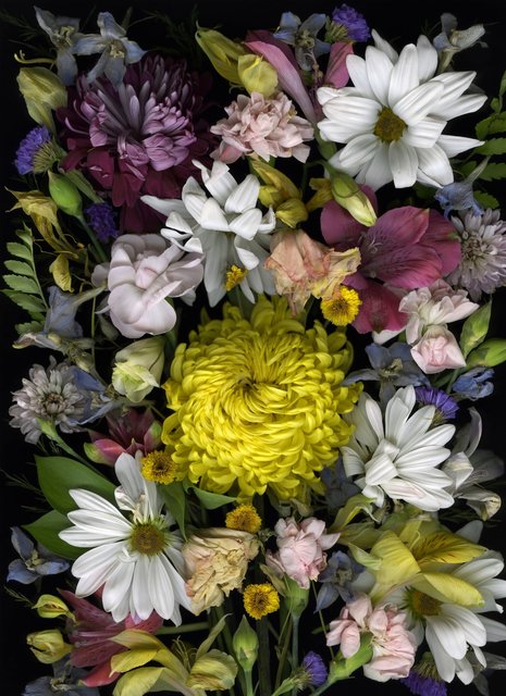 Shaelynn Tredenick - Un Cher Ami, ed. 1 of 10