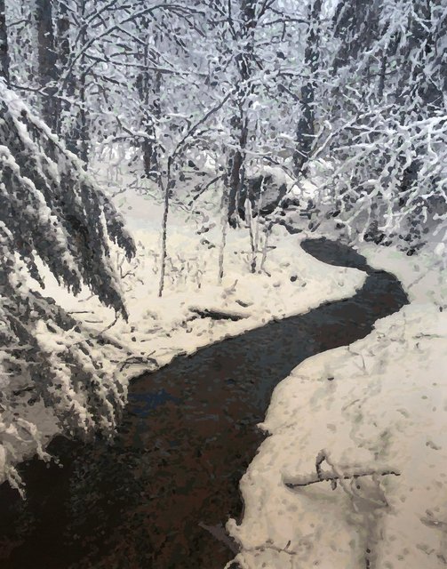 A Winter Walk