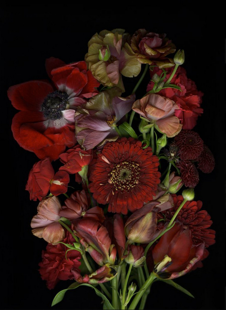 Shaelynn Tredenick - Lifeless, ed. 1 of 10