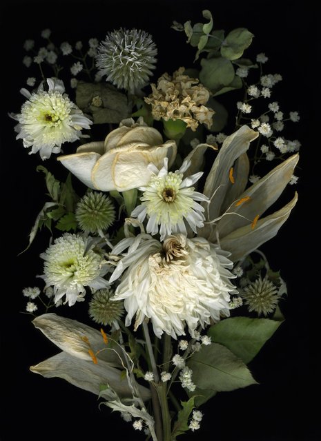 Shaelynn Tredenick - If you're happy, I'm happy, ed. 1 of 10