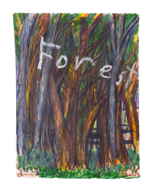 Forest again