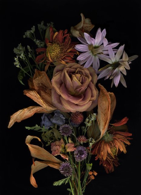 Shaelynn Tredenick - talk to me, ed. 1 of 10