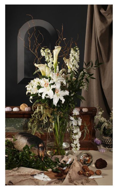 Evergon (Chromogenic Curmudgeons) - White Lillies with Armadillo