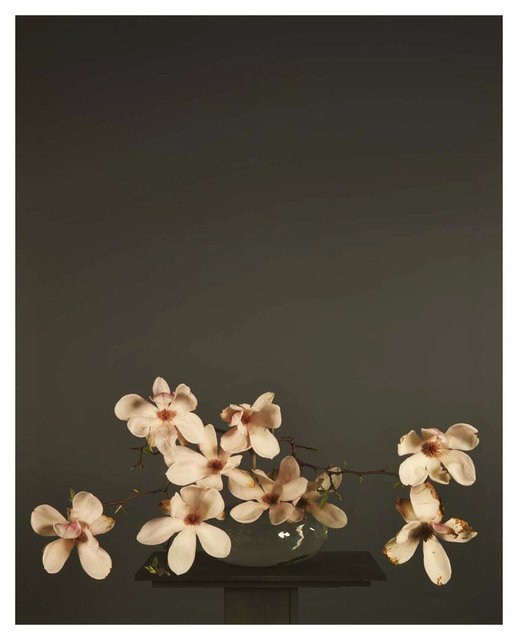 Evergon (Chromogenic Curmudgeons) - Pirin