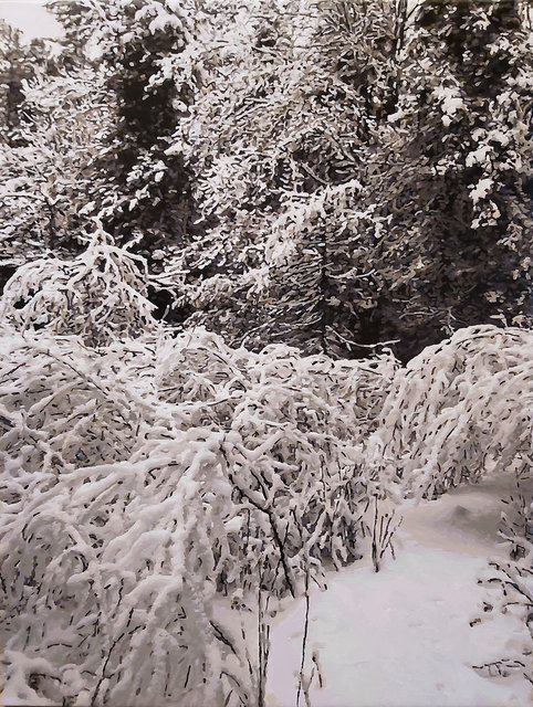 Terry Brynaert - Untitled