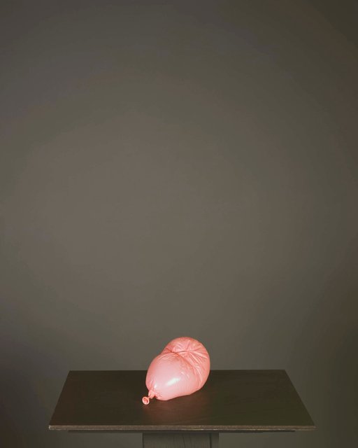 Zeppelin Rose ed 1 of 5