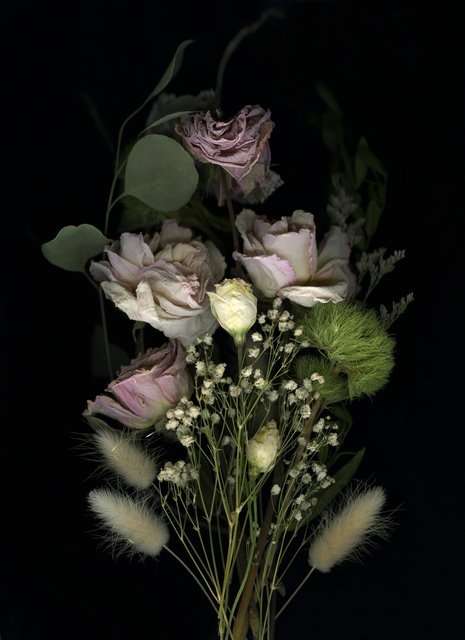 Shaelynn Tredenick - Vernal, ed. 1 of 10