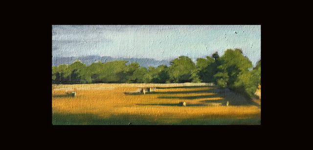 Fields at Home