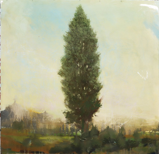 Cedar