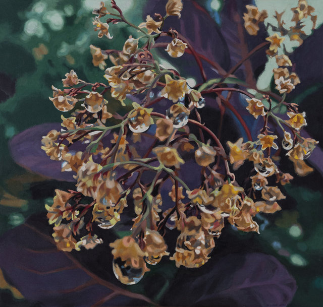 Lenni Workman - Smoke Bush and Mirrors