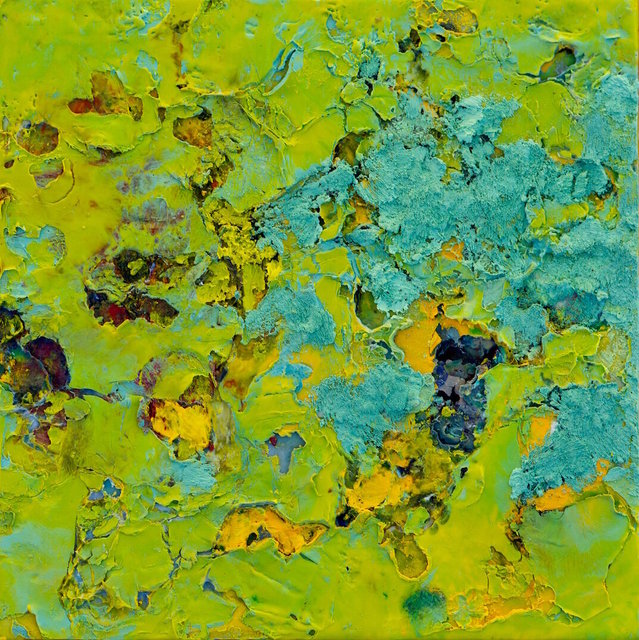 Sheedy - Lichen 3