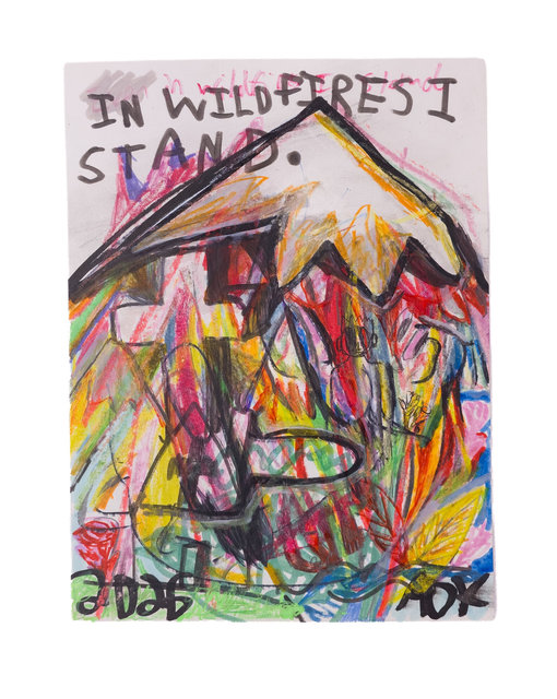 In wildfires I stand