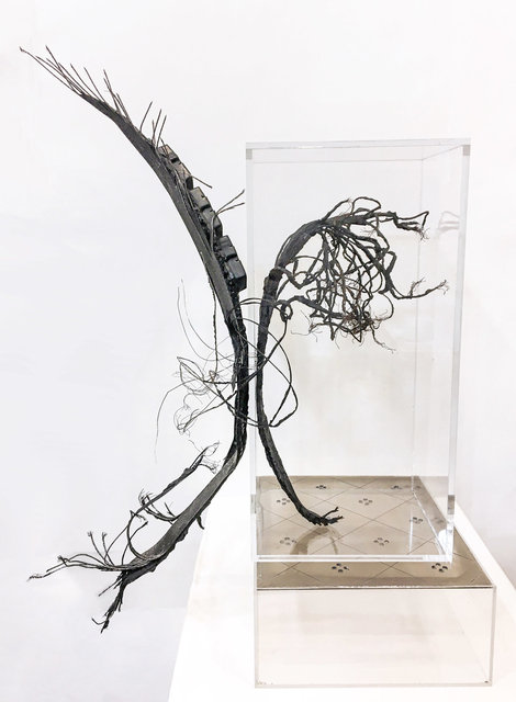 Joyce Westrope - Exposed and Contained III: risk and denial
