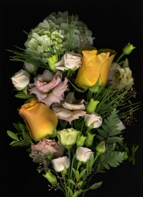 Shaelynn Tredenick - from me, to you, ed. 2 of 10