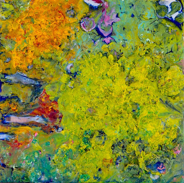 Sheedy - Lichen 11