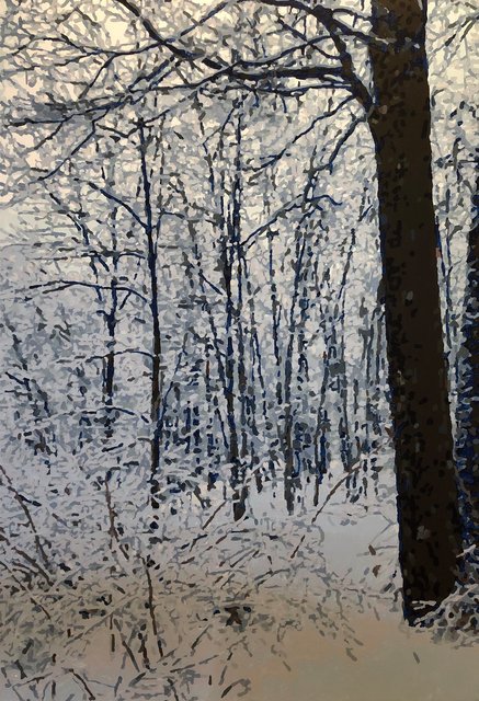 Winter Morning