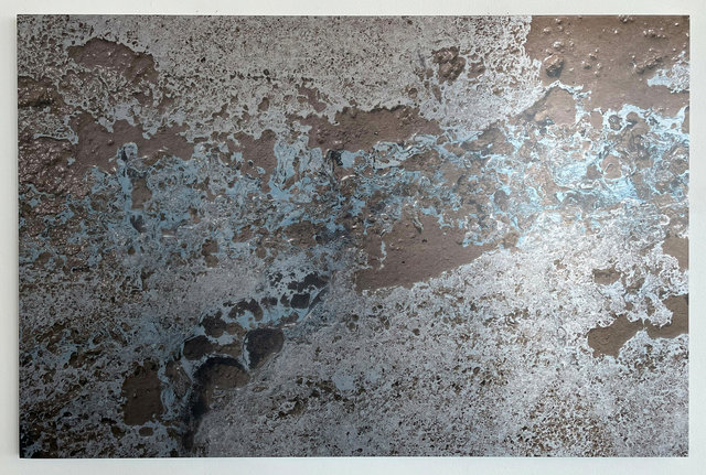 Leslie Reid - Lowell Glacier Surface