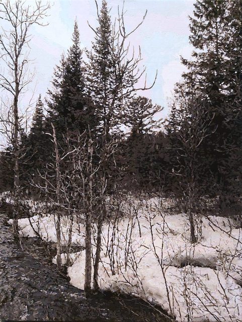 Terry Brynaert - Untitled