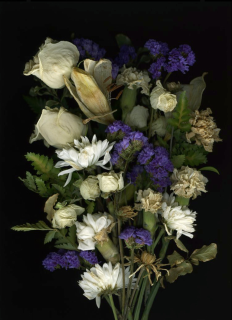 Shaelynn Tredenick - Irenic, ed. 1 of 10