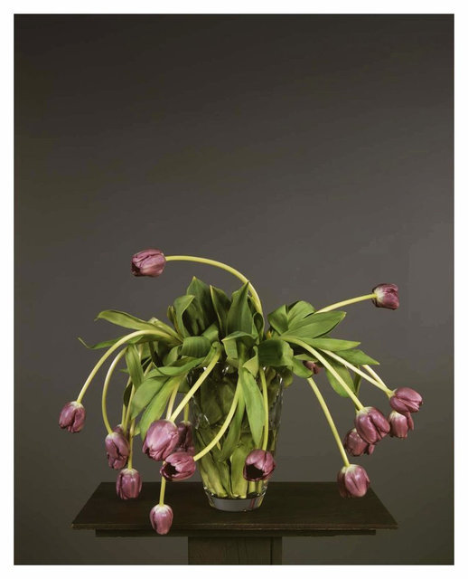 Evergon (Chromogenic Curmudgeons) - Gigi la mitraille