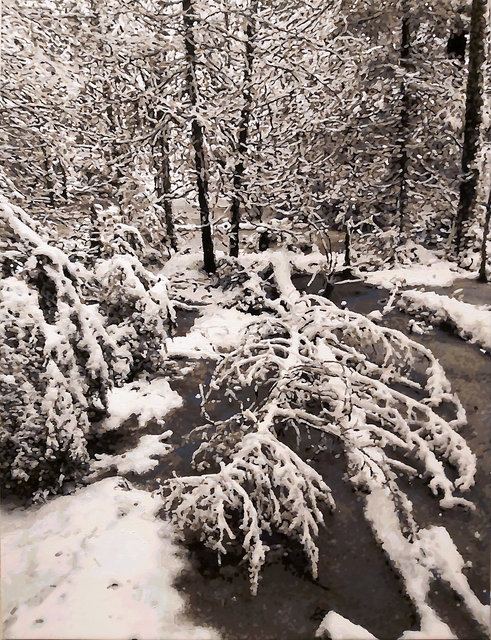 Terry Brynaert - Untitled