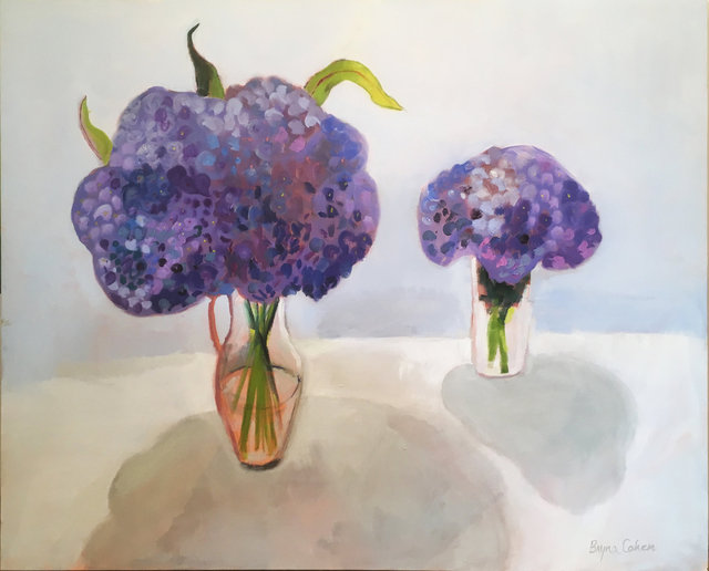 Boston Hydrangeas