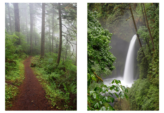 (left) Hiking Trail, Coastal Range, Oregon; (right) Metlako Falls, Columbia River Gorge, Oregon