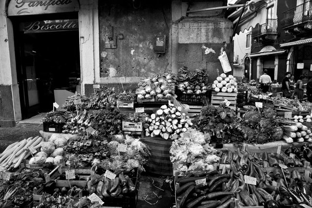 viewbook 71 IMG_9624.jpg