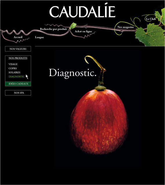 <font color="#aaa7a6">Introduction diagnostic.</font>