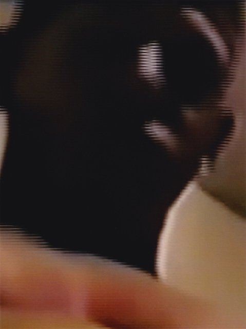 Scan 8.jpg