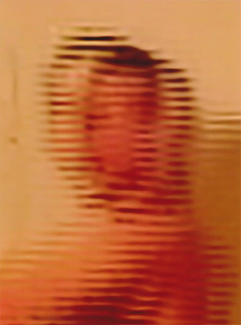 Scan 16.jpg