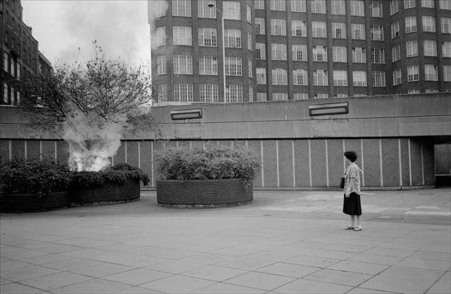 The Burning Bush