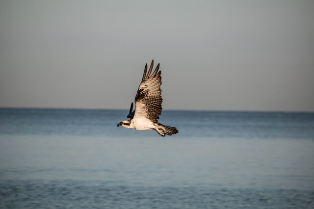 IMG_7677.JPG