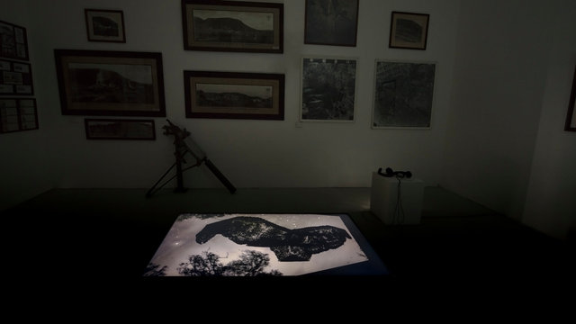 Nicole Welch Wildēornes Body