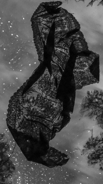 Nicole Welch Wildēornes Body 2017 (still)