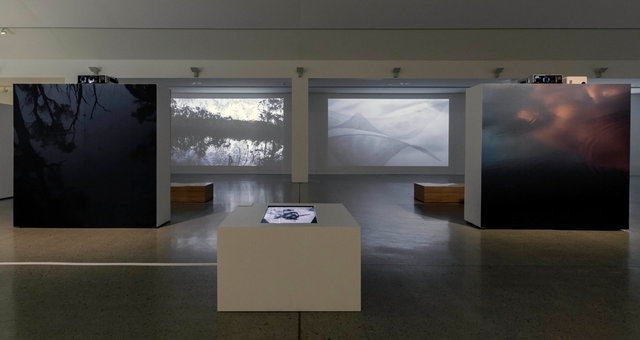 Wildēornes Land Installation Nicole Welch