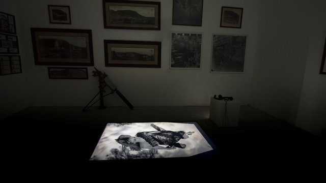 Wildēornes Body, 2017. Installation CEMENTA 17 Nicole Welch