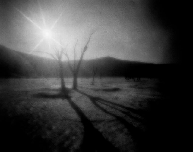 Dead Vlei#1 Danielle Celie Photography.jpg