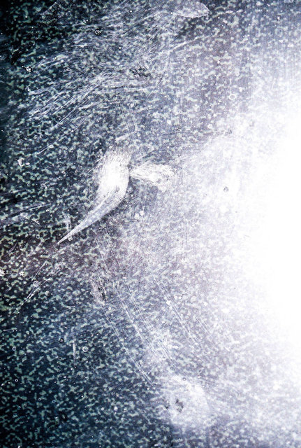 17 Nebula