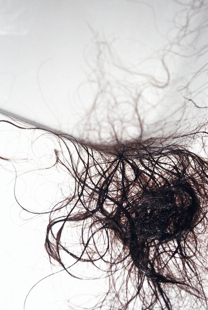 13 Aracne