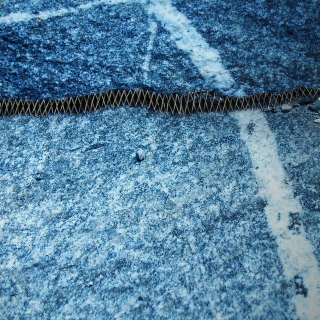 DSC_6569.jpg