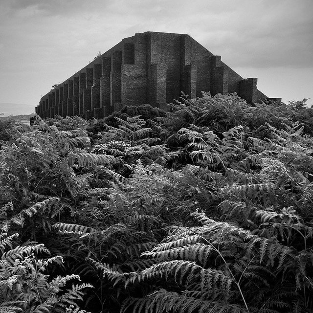 Rifle Range