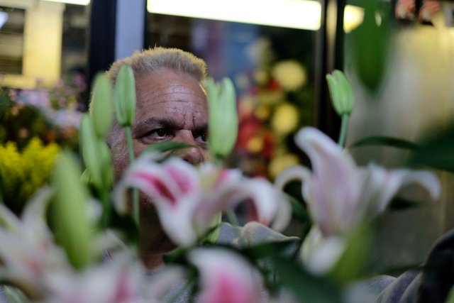 141108_MBElian_flowermen_016_sm.JPG